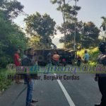 Truck Conter Terbalik di Jalan Raya Curup – Lebong, Ipda Hasan Basri; Tidak Ada Korban Jiwa, Semua Selamat.