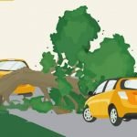 Pohon tumbang di Kepahiang, 2 mobil yang melintas kena imbas.