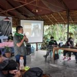 Habitat Orangutan Terancam Hilang, Ini Penelusuran Panut