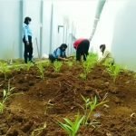 Warga Binaan LPP Bengkulu Kian Produktif Di Masa Pandemi