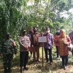 Tingkatkan PADes, Desa Air Putih Bangun Kolam Lele