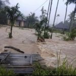 Banjir Bandang Melanda Nagari Sungai Buluah Timur