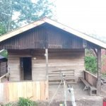 Minim Bantuan, Tertimpa Pohon Durian Rumah Ellya Diperbaiki Warga