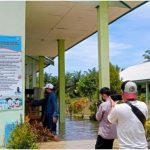 Pastikan Sekolah Aman, Ketua Komisi 1 DPRD Kota Bengkulu Tinjau Lokasi Banjir