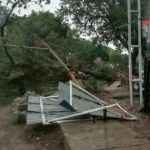Hujan Deras Angin kencang Tumbangkan Pohon Dikota Martapura