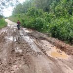 Masyarakat Tran Mandala Keluhkan Akses Jalan Penghubung Desa Ke Kecamatan