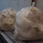 Berburu Jamur Tiram? Disini Tempatnya