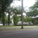Hak Jawab Pihak Citraland Tentang Viralnya Pelarangan Pengibaran Bendera Merah Putih