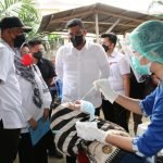 Kolaborasi Wali Kota Medan Memutus Mata Rantai Penularan Covid-19, Buat Medan Jadi Lebih Kondusif