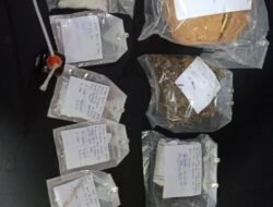 Miliki Narkoba, Antarkan Peria Ini Kedalam Jeruji Besi