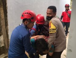 Seorang IRT Perumahan Citra Trisakti Tercebur Kedalam Sumur Tua Sedalam 12 M