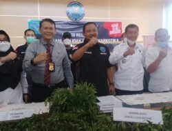 BNNP Sumsel Amankan Seorang Pria Asal Empat Lawang dengan BB 1.000 Batang Ganja