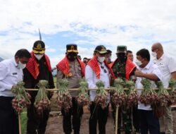 Terbang Ke Karo Kapolda Sumut Panen Raya Padi dan Tinjau Tanaman Bawang