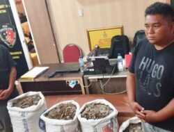 Dua Pelaku Perdagangan Hewan Satwa Dilindungi Di Tangkap Polisi