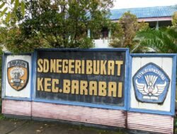 Ada 96 SD di HST Terancam Tutup, Disdik Masih Lakukan Kajian Kekurangan Jumlah Murid