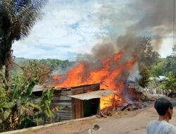 Kebakaran Hebat Hanguskan 4 Rumah Warga