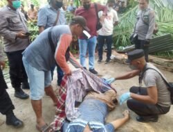 Akibat Tertimpa Pohon Tumbang Seorang Pria Meninggal Dan Seorang Lagi Patah Kaki