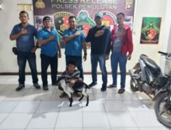 Tim Crocodile Unit Reskrim Polsek Pemulutan Tangkap Dua Pelaku Pencurian Dengan Pemberantan