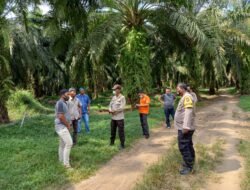 Panen TBS, Karyawan Lonsum Rambung Sialang Tewas Tersengat Listri