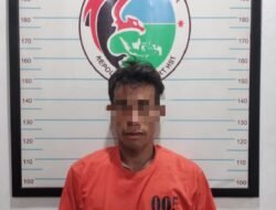 Pemakai dan Pengedar SS di Areal Persawahan HST Digerebek Polisi