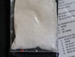 Lakukan Under Cover Buy, Sat Narkoba Polres Binjai Tangkap 2 Pria Bandar Sabu