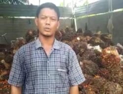 Petani Sawit Sumut: Terima Kasih Presiden Joko Widodo