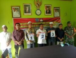 Tiga Cakades Bamban Utara HSS Ancang-ancang Pasang Atribut, Calon No.1 Sempat Aktion Duluan