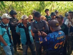 Negara abai, petani Mukomuko sibuk berurusan dengan hukum