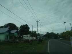 Sapi, Kambing dan Kerbau Berkeliaran. Ini Penjelasan Kasat Satpol-PP Benteng