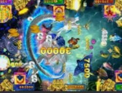 Paraktik Judi Bebas Beroperasi Di Komplek Asia Mega Mas