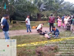 Warga Desa Cilawan Digegerkan Penemuan Seorang Pria Tewas di Areal Perkebunan Sawit