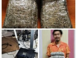 Kurang dari Sepekan, Bea Cukai Batam Gagalkan Pengiriman Dua Paket Ganja Lintas Pulau