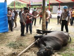 Kapolda Sumut : Qurban Adalah Bukti Ketaqwaan Seorang Muslim kepada Allah SWT