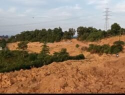 Tambang Bauksit Ilegal di Dalam Kawasan Hutan Lindung Kabil – Nongsa Masih Beraktivitas