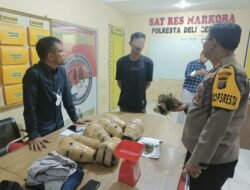 Polresta Deli Serdang Berhasil Amankan MR Pelaku Pengedar Ganja Antar Provinsi