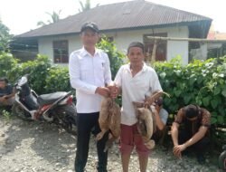 Kades Suka Rami Kecamatan Air Nipis bagikan Ratusan Ekor Bebek kepada masyarakat