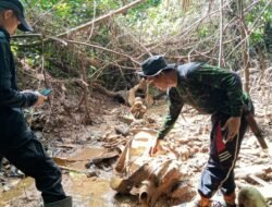 Matinya Gajah pertanda ancaman keselamatan Habitat dan populasi gajah Sumatera di Bentang alam seblat Bengkulu makin terancam
