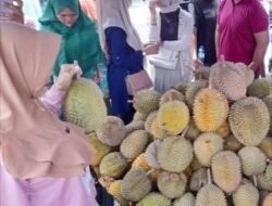 Dewi Tunggu Festival Durian Berikutnya