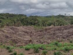 Data Kerusakan Hutan Benteng Alam Seblat Tahun 2020 – 2022