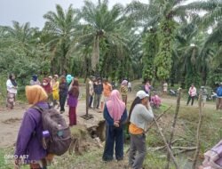 PT FAMINGLEVTO BAKTIABADI DIDUGA MELAWAN HUKUM, WALHI BENGKULU MEMINTA KAPOLDA DAN KAPOLRI TINDAK TEGAS