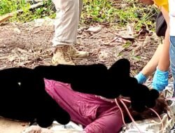Warga Temukan Mayat Wanita Terbungkus Dekat Jembatan Barito, Diduga Korban Pembunuhan