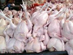 Berkah Menjelang Pergantian Tahun, Pedagang Ayam Kebanjiran Pesanan