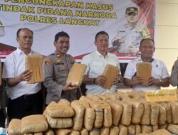 Sat Resnarkoba Polres Langkat Gagalkan Penyeludupan 232 kg Ganja Siap Edar