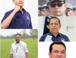 Berikut Lima Caleg Potensial Nasdem di Sumut