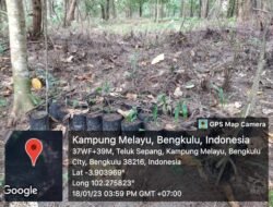 TWA Pantai Panjang Pulau Baai Dirambah, BKSDA Bengkulu – Lampung dimana…