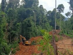 Alat Berat dalam Kawasan Hutan Bentang Alam Seblat