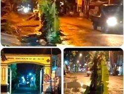 Mengakibatkan Pengendara R2 Terjatuh, Warga Laban Gresik Tanam Pohon Pisang di Jalan Berlubang