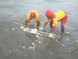 Sosok Mayat Tanpa Identitas Mengapung di Pantai Jerman Badung