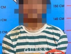 Kasat Narkoba Polres Madina Ringkus pengedar Narkoba jenis Ganja Warga Sipapaga