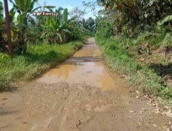Masyarakat 4 Desa Lingga Bayu keluhkan kondisi jalan yang rusak